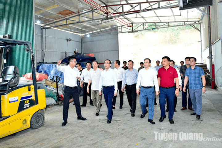 Các Đc lãnh đạo tỉnh kiểm tra hoạt động sản xuất tại công ty TNHH Thương mại và Sản xuất Khánh Xuân