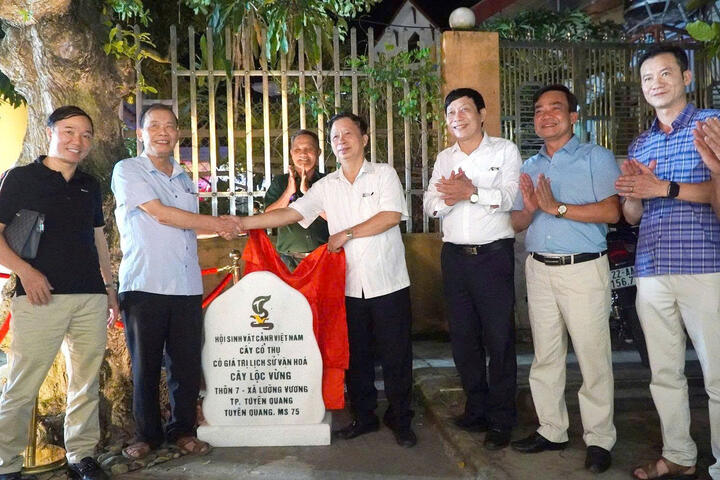 Hiệp hội Doanh nghiệp tỉnh phối hợp tổ chức Triển lãm cây cảnh chào mừng Đại hội Đảng bộ tỉnh Tuyên Quang lần thứ I, nhiệm kỳ 2025-2030